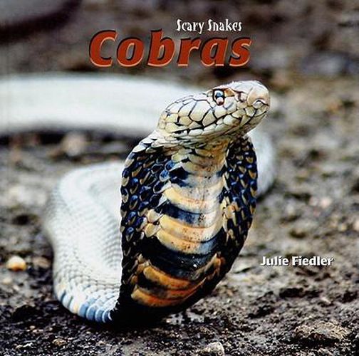 Cover image for Cobras