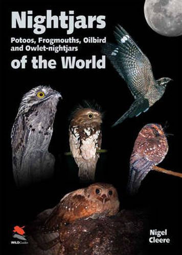 Cover image for Nightjars, Potoos, Frogmouths, Oilbird, and Owlet-nightjars of the World