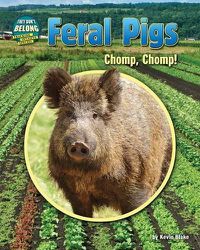 Cover image for Feral Pigs: Chomp, Chomp!