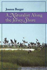 Cover image for A Naturalist along the Jersey Shore