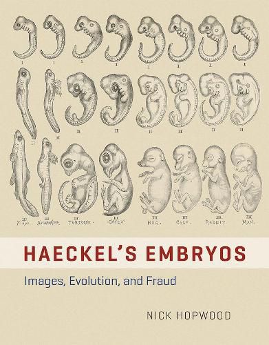 Cover image for HAECKEL'S EMBRYOS - IMAGES, EVOLUTION, AND FRAUD