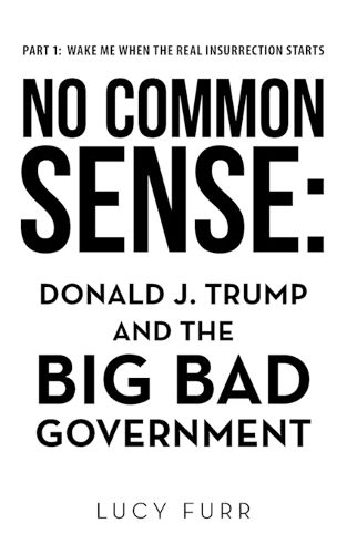 Cover image for No Common Sense