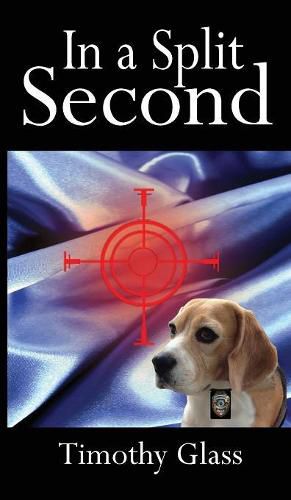 Cover image for In a Split Second: A Connor Maxwell Mystery