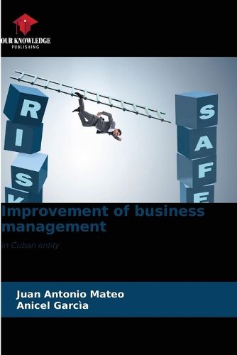 Cover image for Improvement of business management