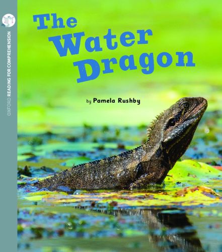 Cover image for The Water Dragon: Oxford Level 2: Pack of 6