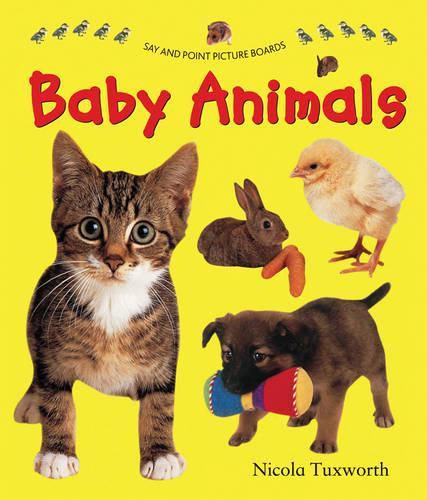 Cover image for Say and Point Picture Boards: Baby Animals