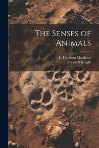 Cover image for The Senses of Animals