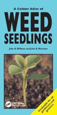 Cover image for A Colour Atlas of Weed Seedlings