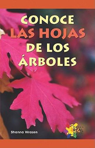 Cover image for Conoce Las Hojas de Lo