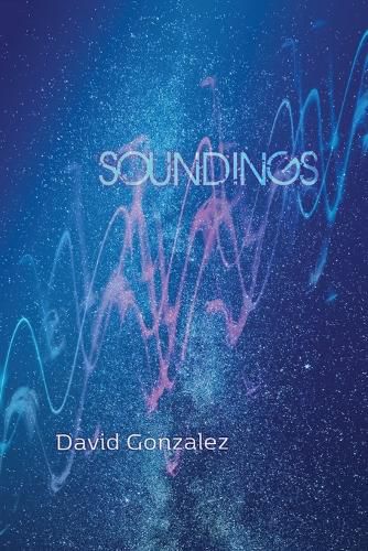 Cover image for Soundings