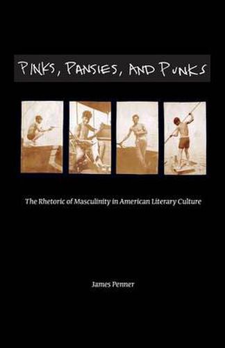 Cover image for Pinks, Pansies, and Punks: The Rhetoric of Masculinity in American Literary Culture