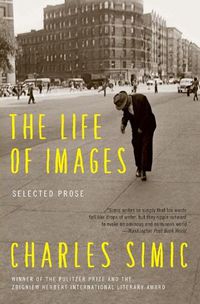 Cover image for The Life of Images: Selected Prose