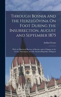 Cover image for Through Bosnia and the Herzegovina On Foot During the Insurrection, August and September 1875