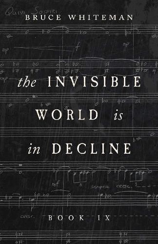 Cover image for The Invisible World Is in Decline Book IX