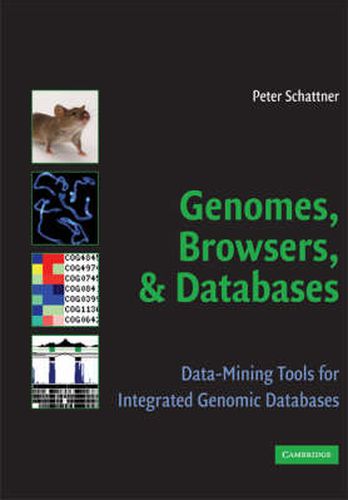 Cover image for Genomes, Browsers and Databases: Data-Mining Tools for Integrated Genomic Databases