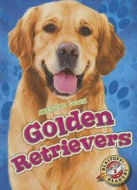 Cover image for Golden Retrievers Golden Retrievers