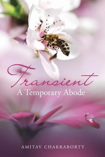 Cover image for Transient - a Temporary Abode