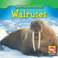 Cover image for Walruses