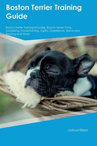 Cover image for Boston Terrier Training Guide Boston Terrier Training Includes