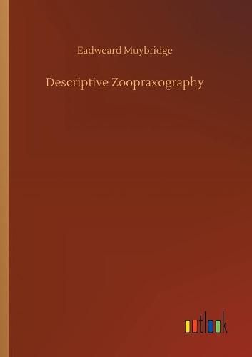 Cover image for Descriptive Zoopraxography