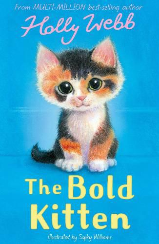 Cover image for The Bold Kitten