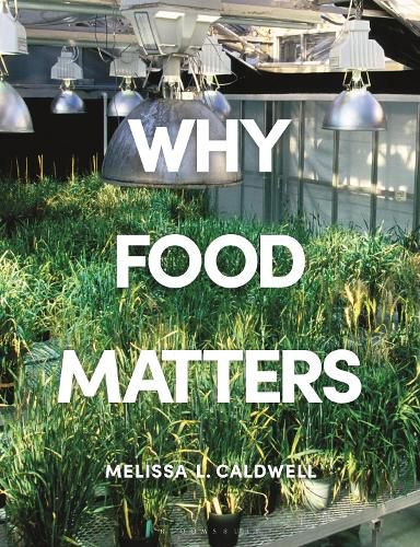 Cover image for Why Food Matters