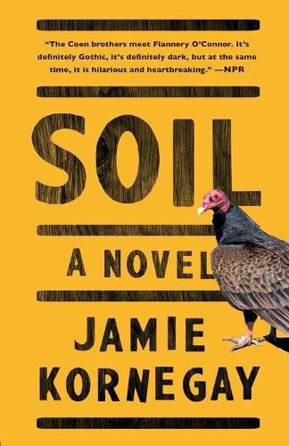Cover image for Soil