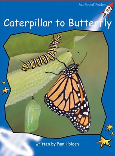 Cover image for Red Rocket Readers: Early Level 3 Non-Fiction Set C: Caterpillar to Butterfly (Reading Level 11/F&P Level G)