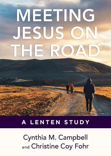 Cover image for Meeting Jesus on the Road