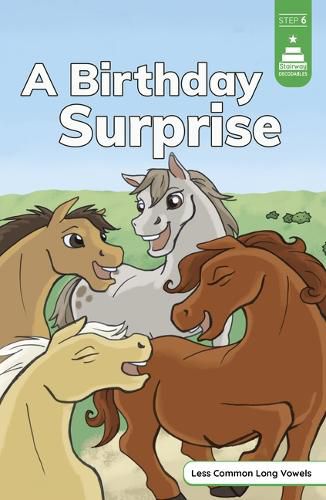 Cover image for A Birthday Surprise