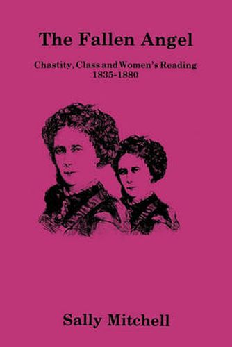 Cover image for Fallen Angel: Chastity, Class, and Women's Reading, 1835-1880