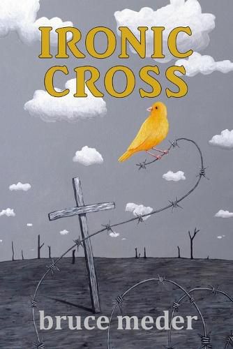 Cover image for Ironic Cross