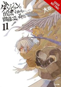 Cover image for Is It Wrong to Try to Pick Up Girls in a Dungeon?, Vol. 11 (light novel)