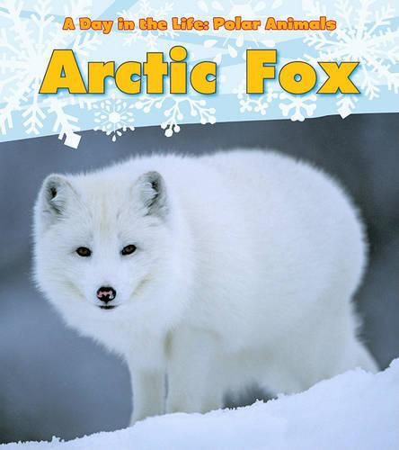 Cover image for Arctic Fox (A Day in the Life: Polar Animals)