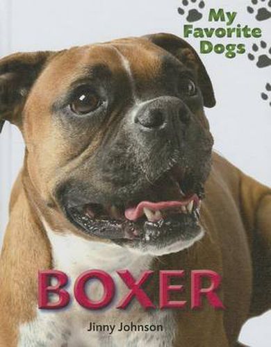 Boxer