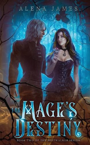 Cover image for The Mage's Destiny