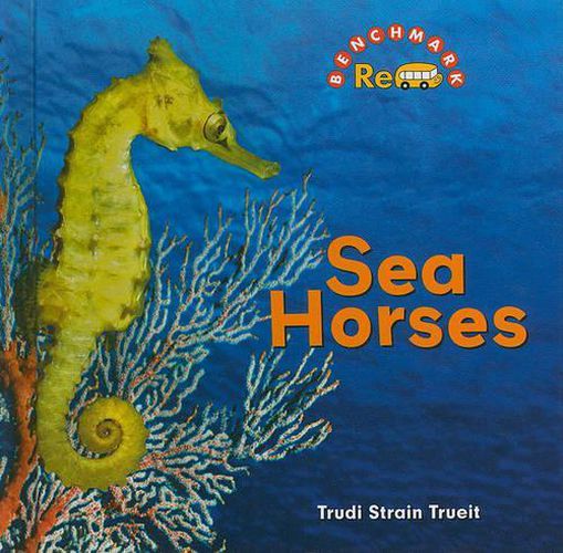 Cover image for Sea Horses