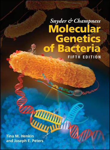 Cover image for Snyder and Champness Molecular Genetics of Bacteria, 5th Edition