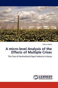 Cover image for A Micro-Level Analysis of the Effects of Multiple Crises