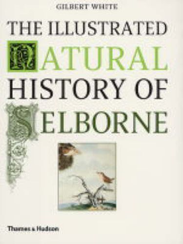 Cover image for The Illustrated Natural History of Selborne