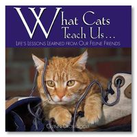 Cover image for What Cats Teach Us...: Life's Lessons Learned from Our Feline Friends