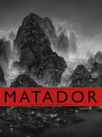 Cover image for Matador: Future