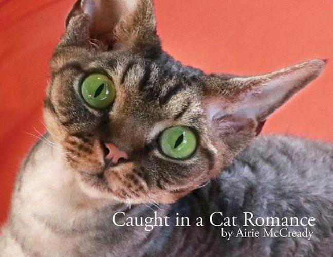 Cover image for Caught in a Cat Romance