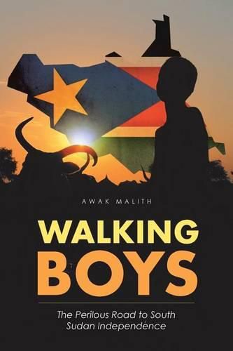 Cover image for Walking Boys