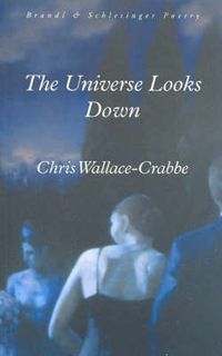Cover image for The Universe Looks Down