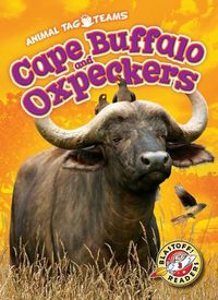 Cover image for Cape Buffalo and Oxpeckers