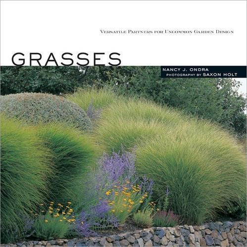 Cover image for Grasses