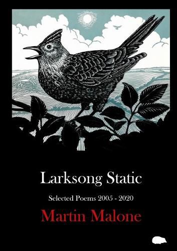 Cover image for Larksong Static: Selected Poems 2005-2020