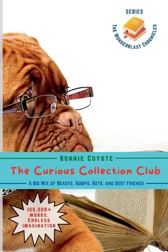 Cover image for The Curious Collection Club