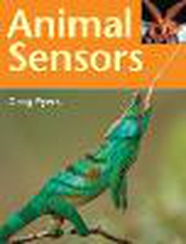 Cover image for Rigby Literacy Fluent Level 4: Animal Sensors (Reading Level 26/F&P Level Q)